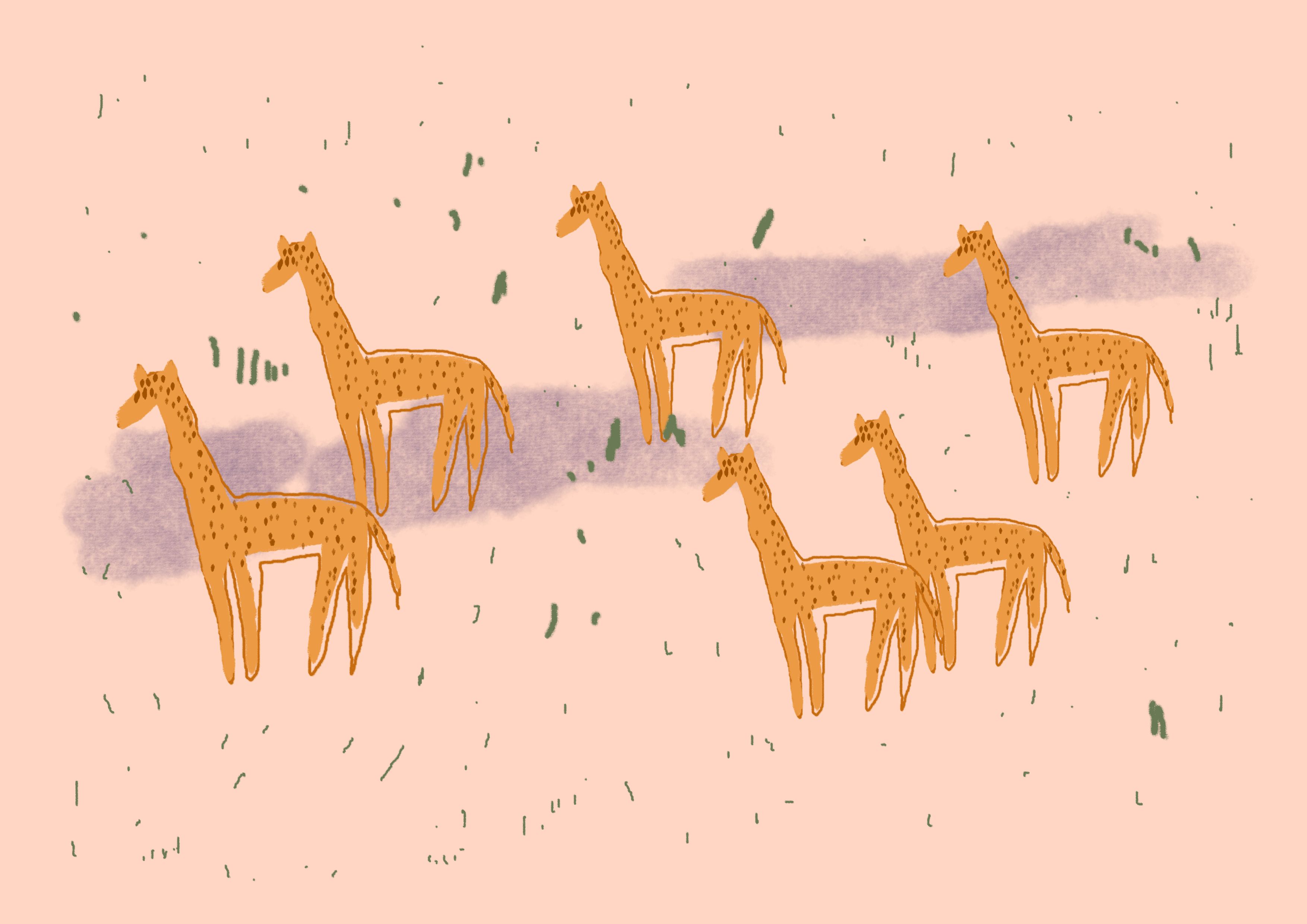 drawings